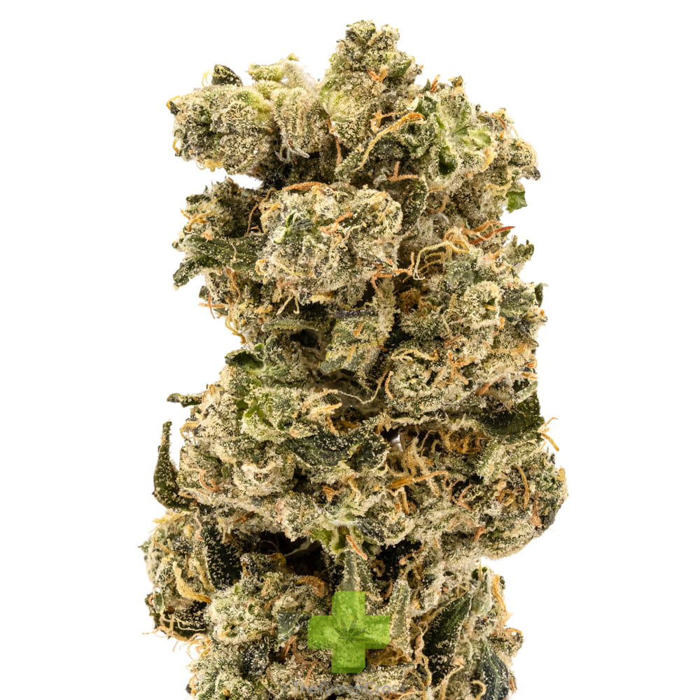 THC Design — Crescendo