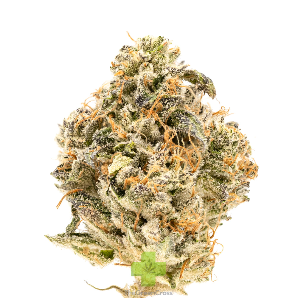Cannabiotix — Kush Mountains