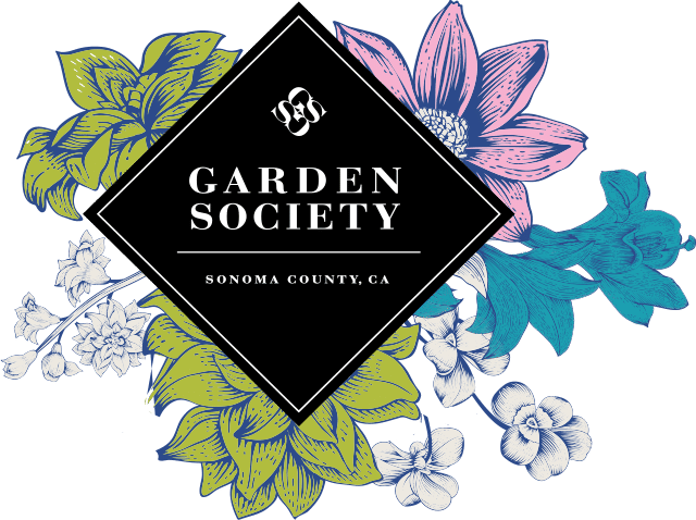 Garden Society Gummies - Garden Society - Pineapple THC:CBG 1:1 - $24 - Edibles