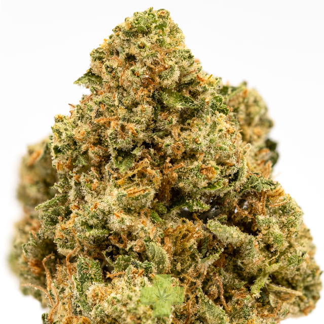 Rimrock Farms — Pure Kush, Sg