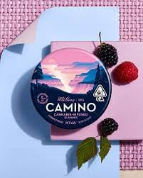 CAMINO — Wild Berry