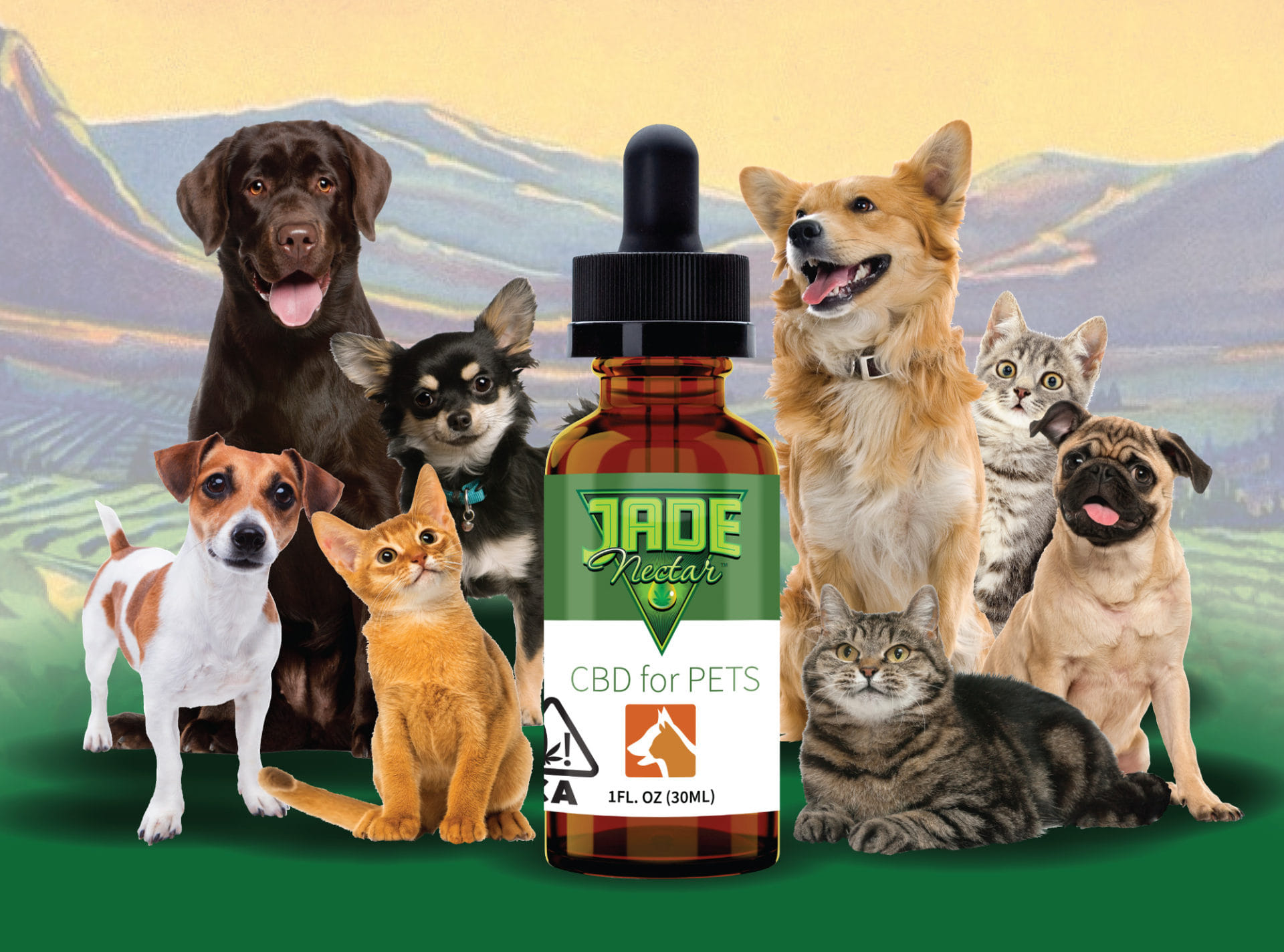 CBD for Pets - Jade Nectar - CBD for Pets - $35 - Tinctures