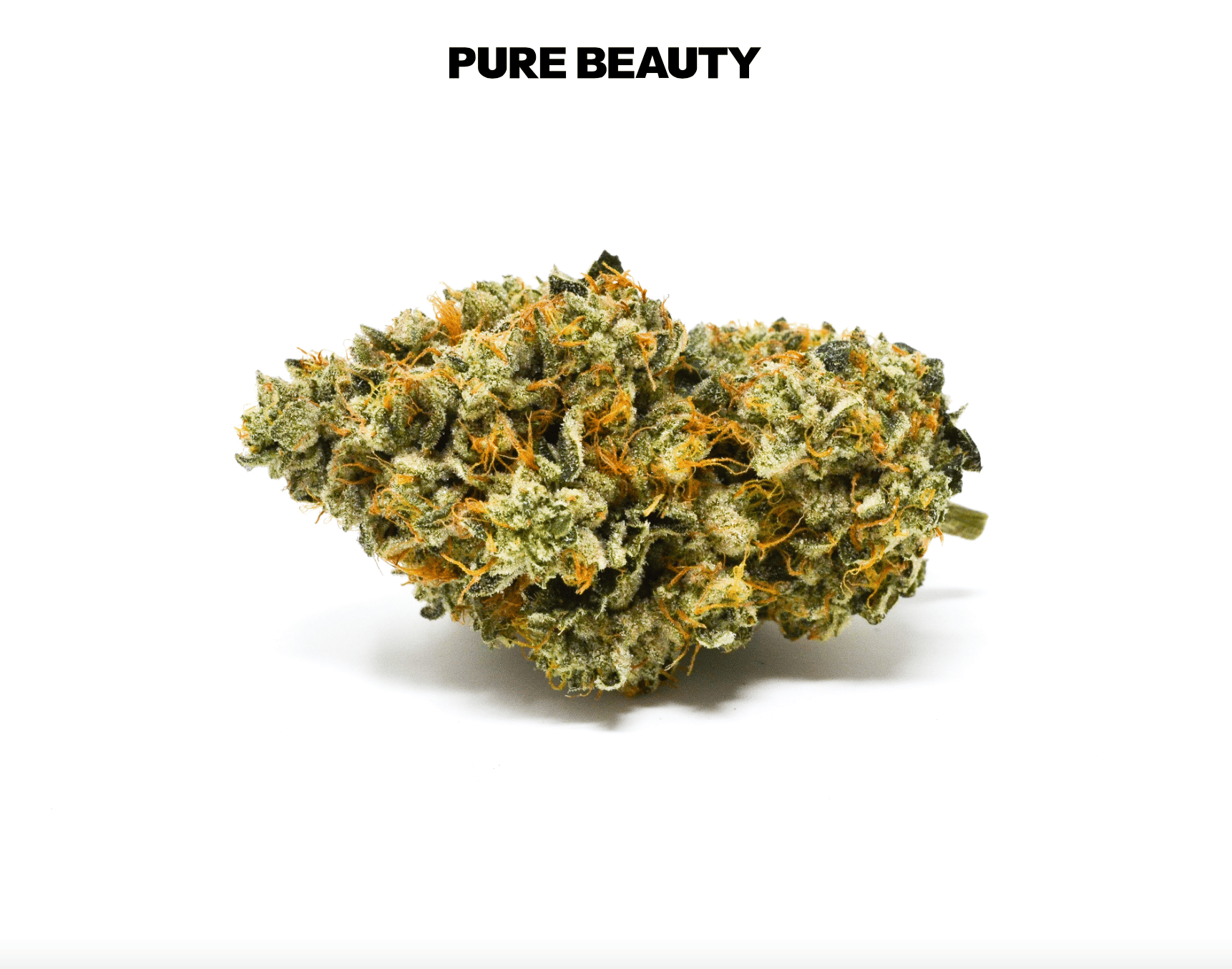 Bermuda Triangle - Pure Beauty - Eighth - $45 - Flowers