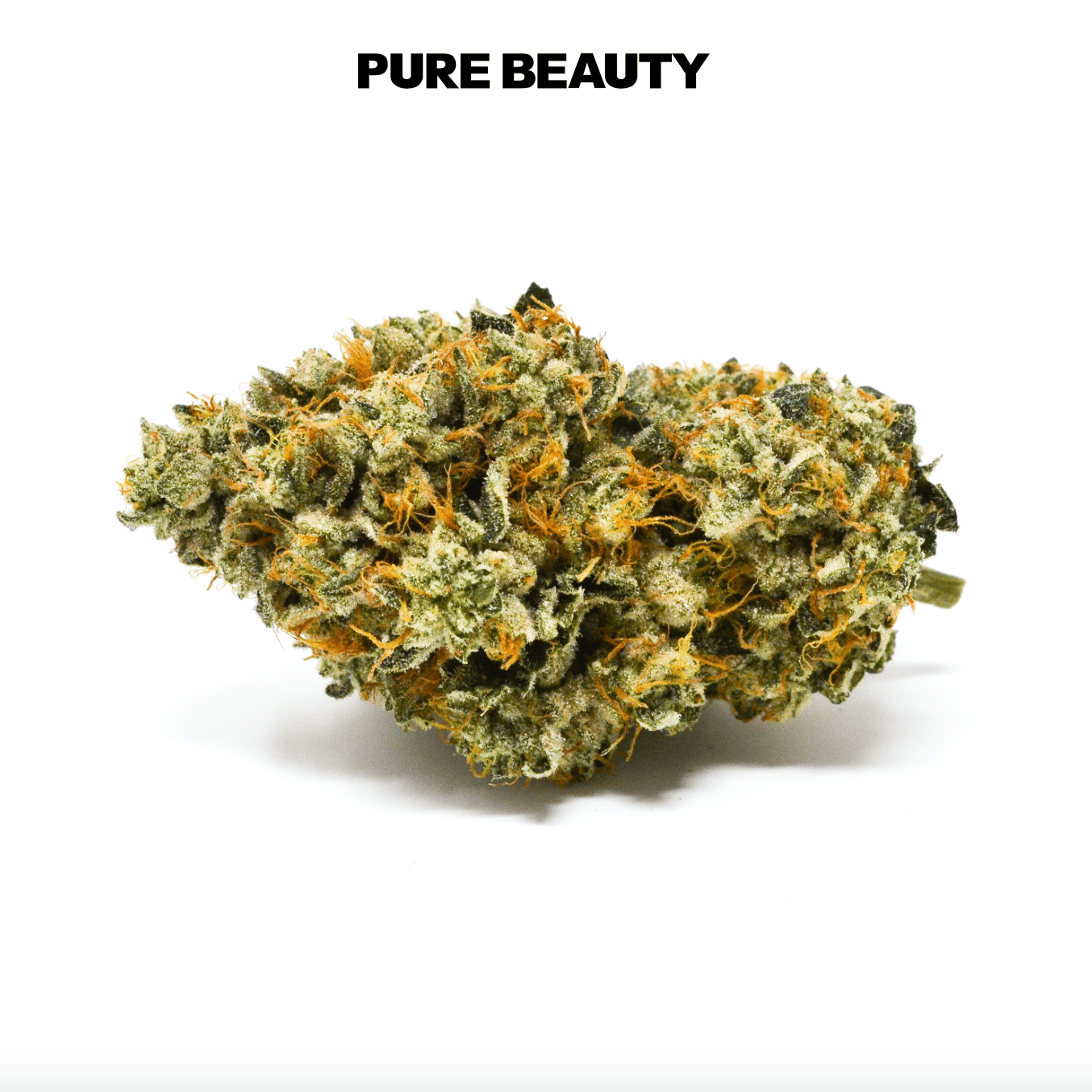 Bermuda Triangle - Pure Beauty - Eighth - $45 - Flowers