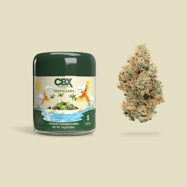 CBX | 3.5g - Tropicanna - Sativa