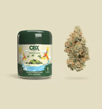 Cannabiotix - Tropicanna 3.5g - Cannabiotix - Cannabiotix - Tropicanna 3.5g - $75 - Flower