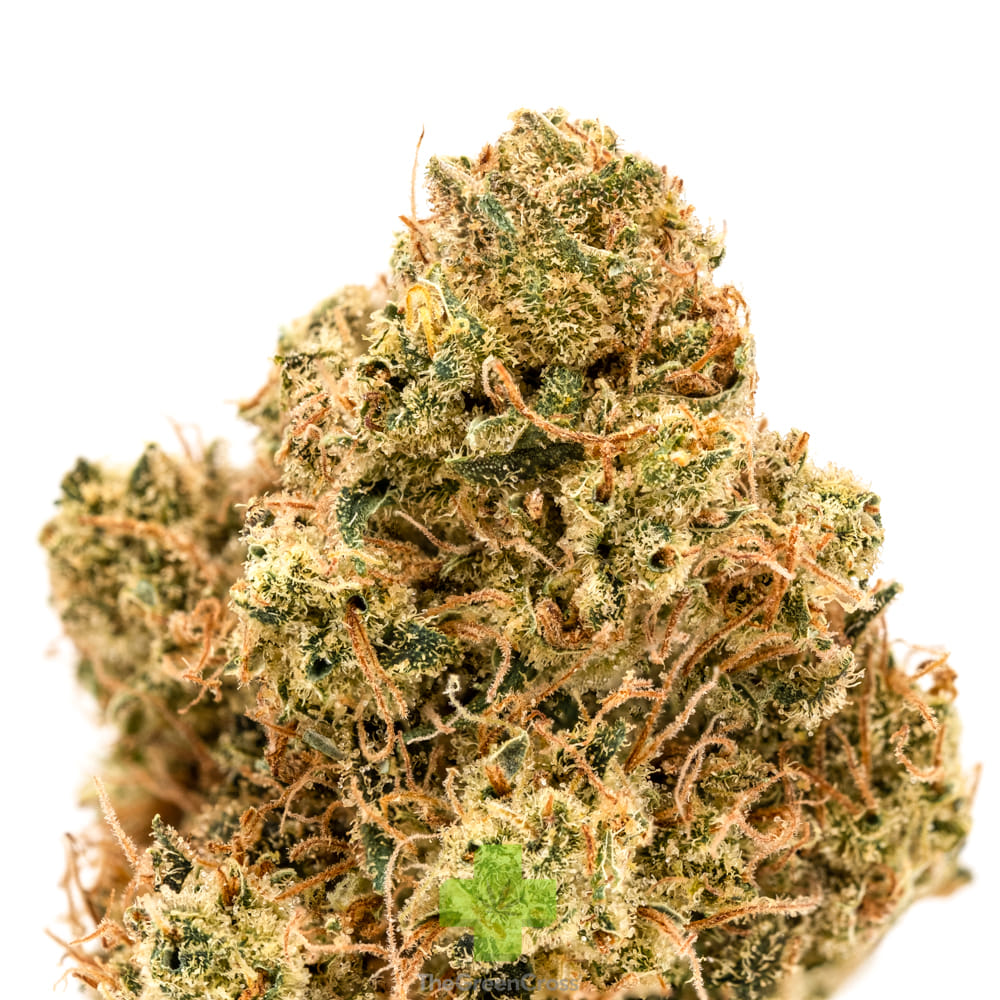 Northern Emeralds — Dutch