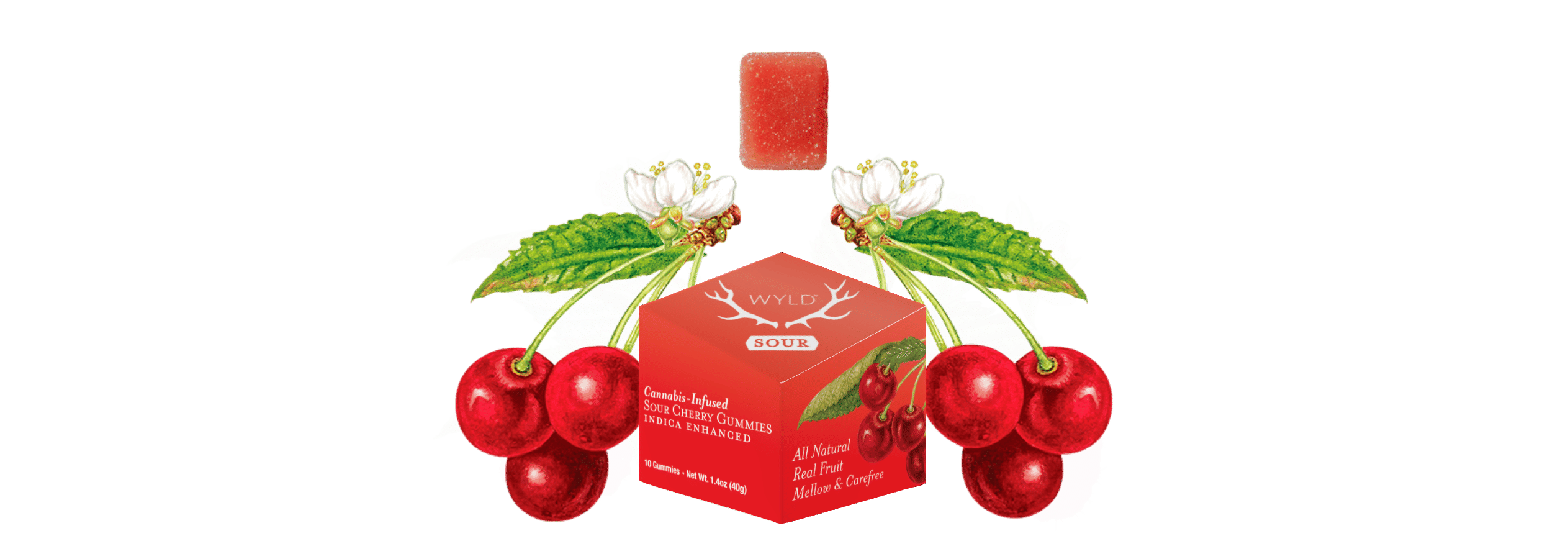 Wyld — Sour Cherry