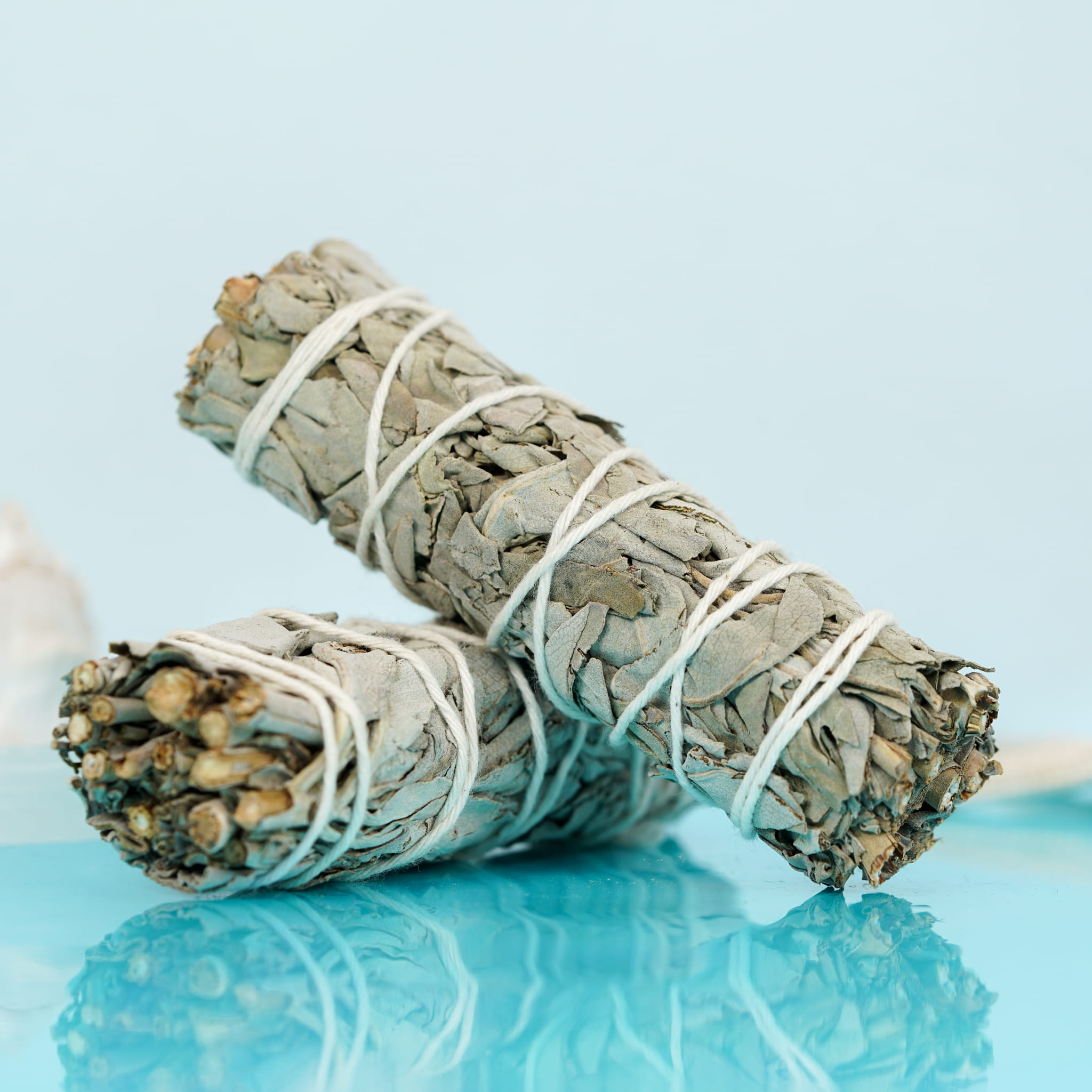 Small Sage Bundle - sustainably harvested from a farm in California - High Tide -  - $5.99 - Maliboutique