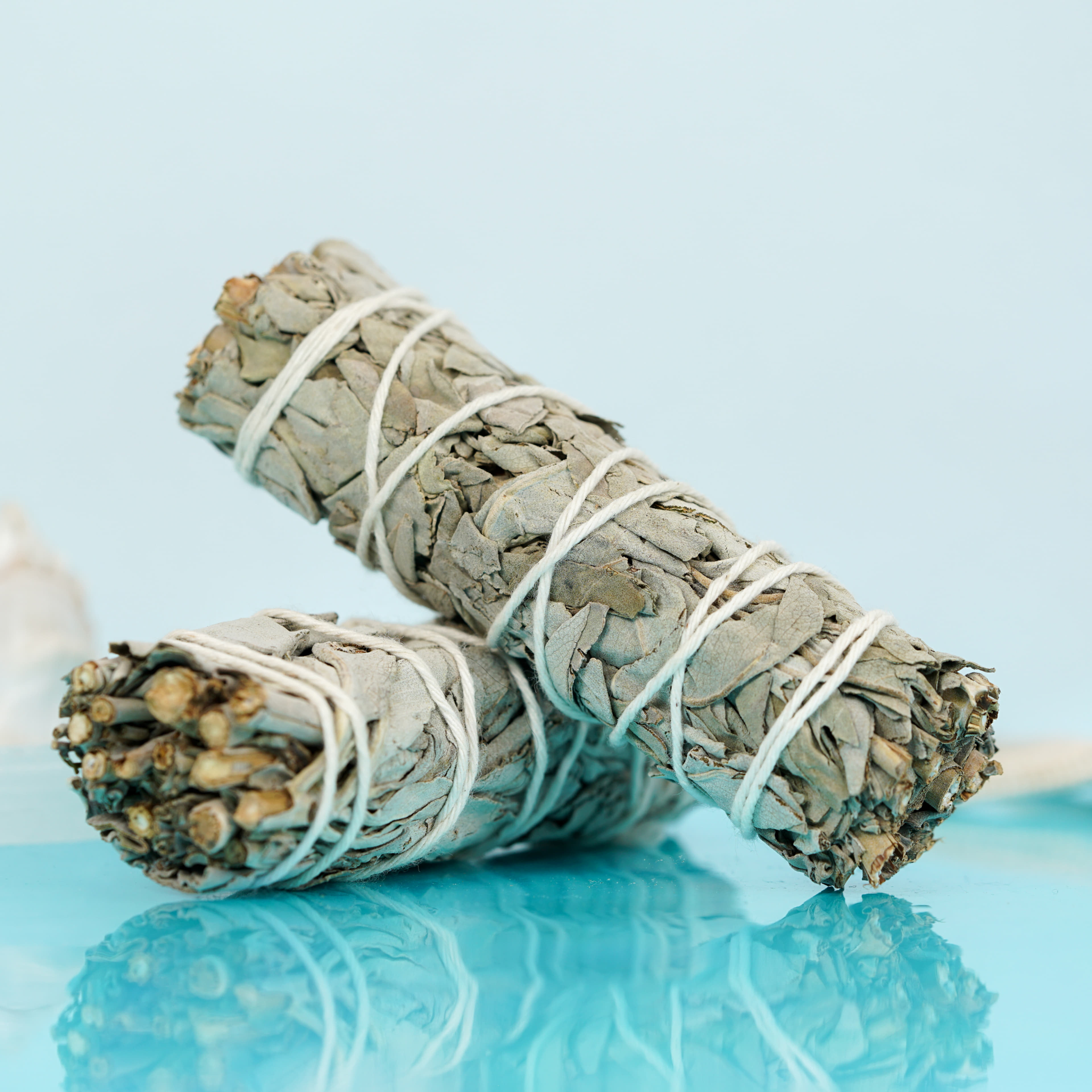 Small Sage Bundle - sustainably harvested from a farm in California - High Tide - - $5.99 - Maliboutique