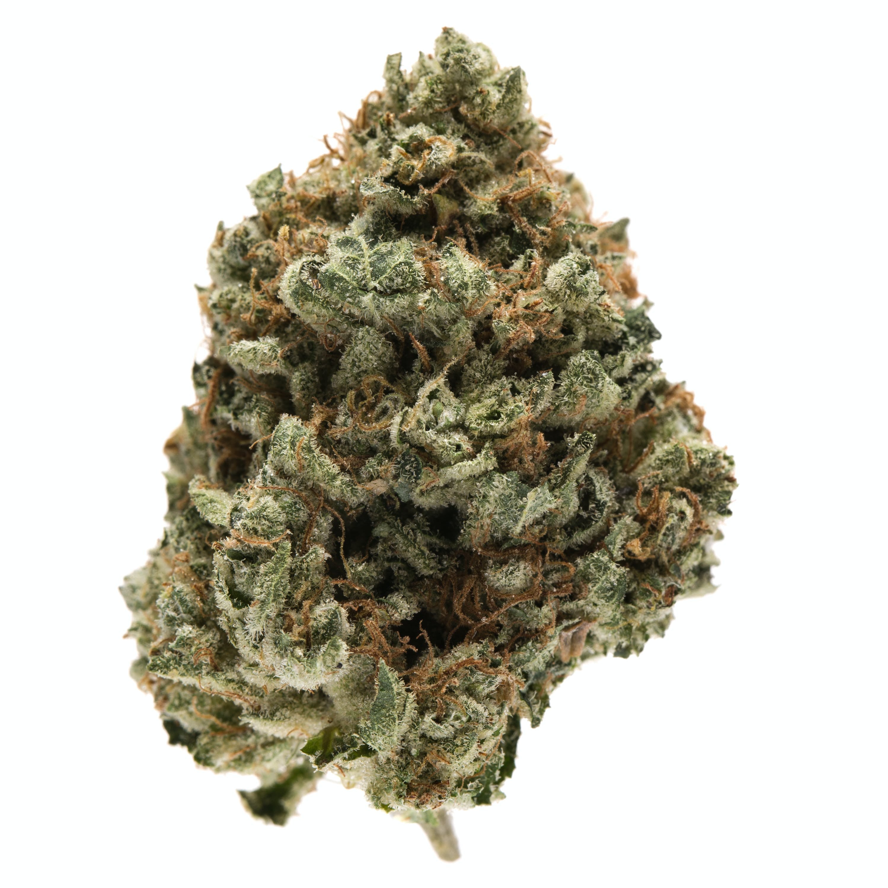 Gas House OG