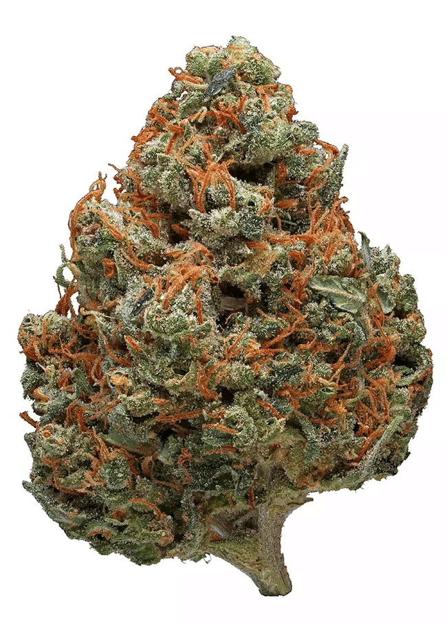 Durban Poison - Daze Off - Eighth - $35 - Flowers