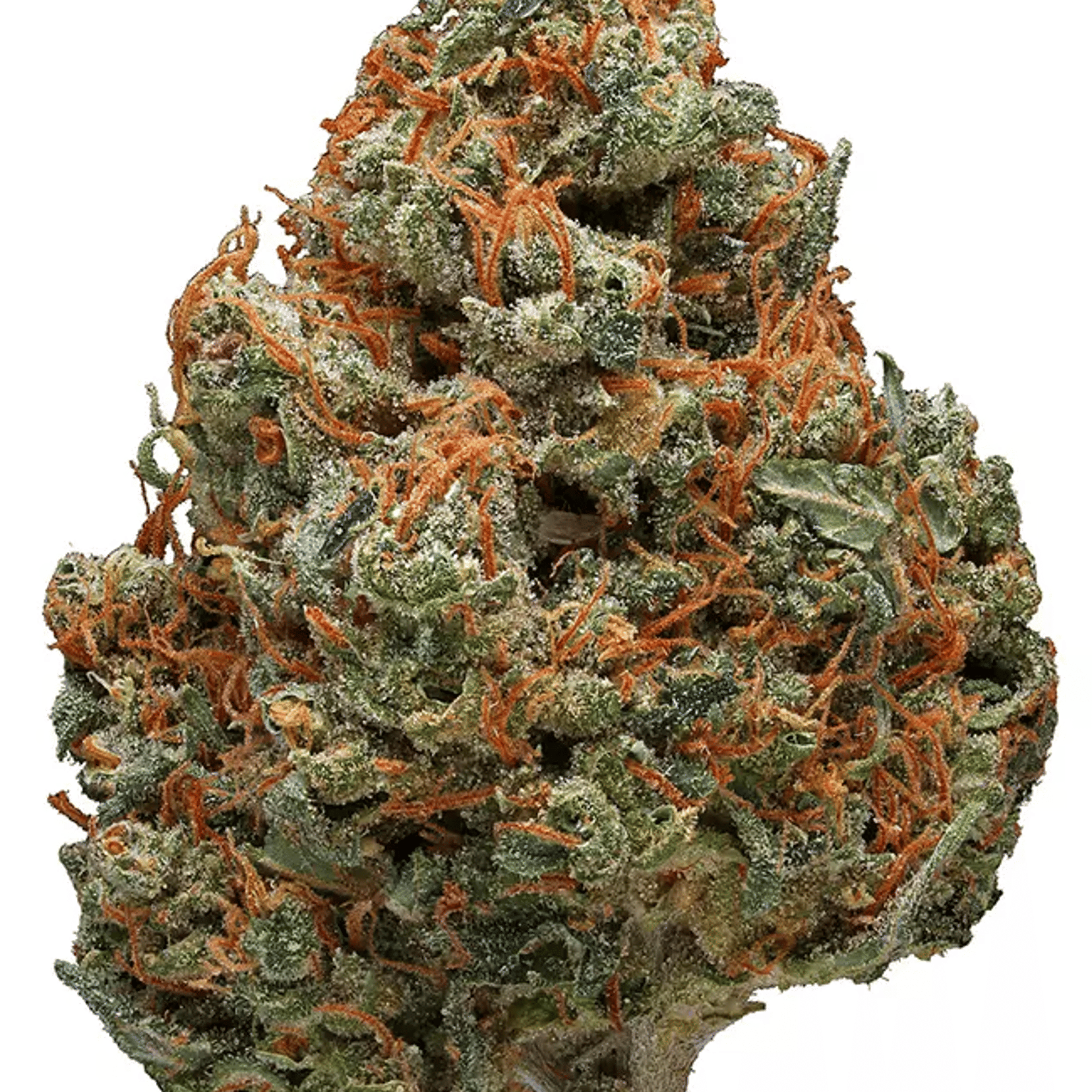 Durban Poison - Daze Off - Eighth - $35 - Flowers