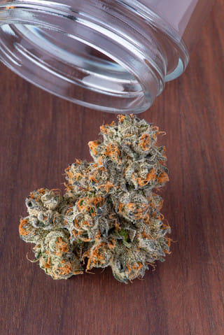 Fig Farms — Krypto Chronic #1
