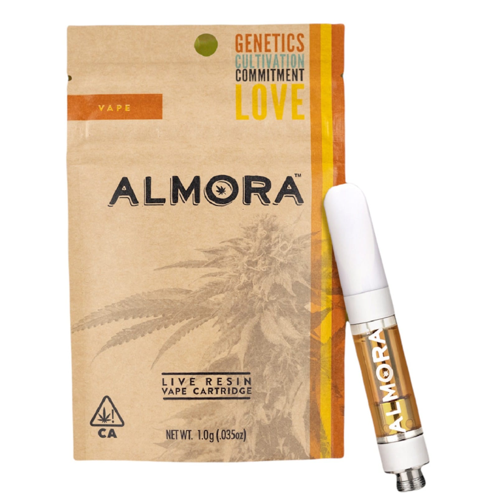 ALMORA — Hindu Kush