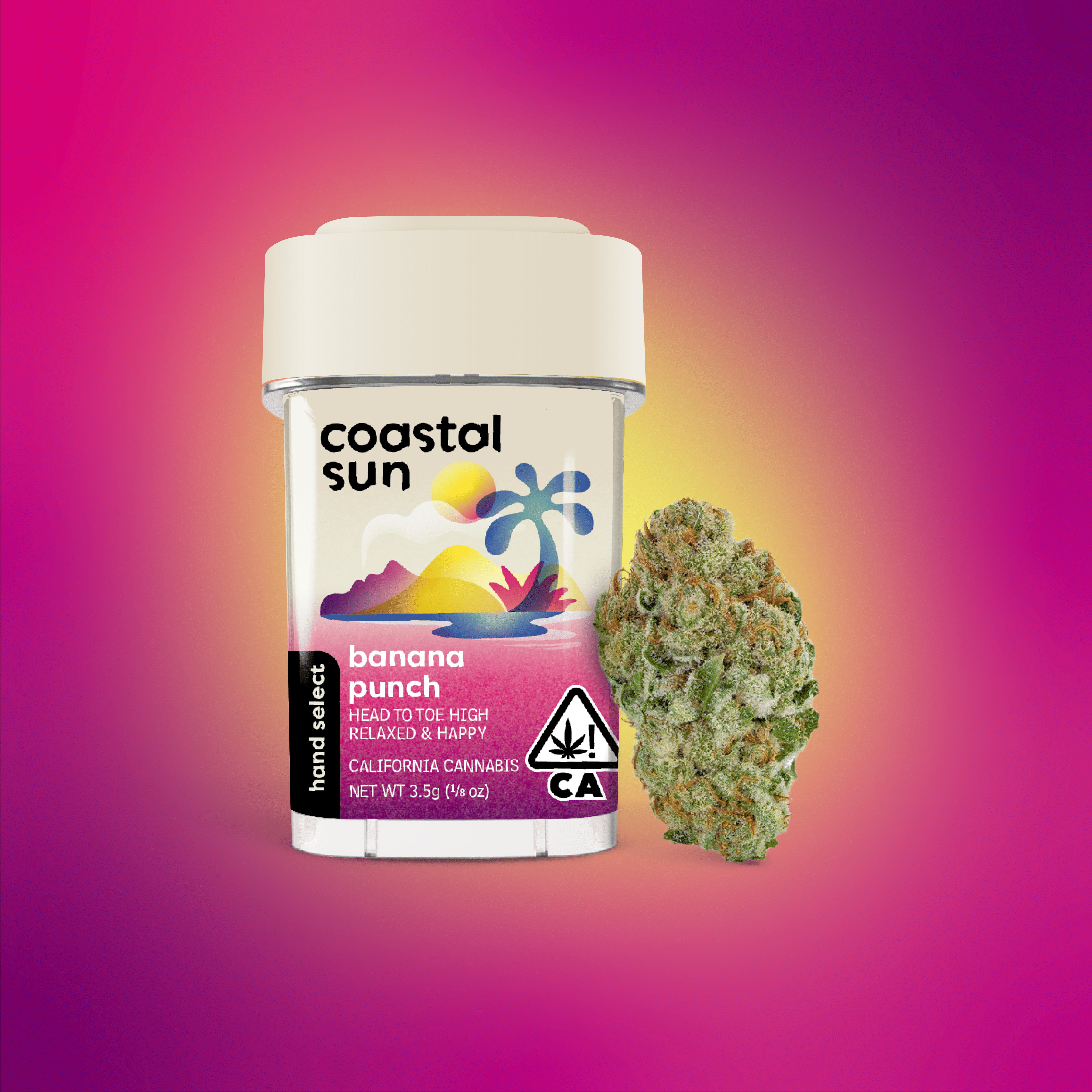 Coastal Sun: Banana Punch
