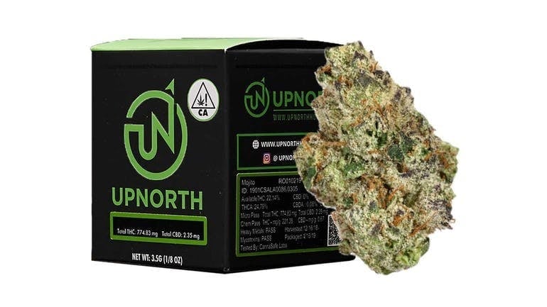 UpNorth: NF1 - 3.5g