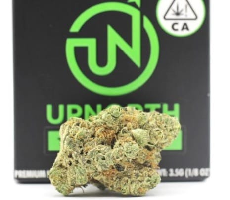 UpNorth Eighth 3.5g - Up North - Chocolate Malawi - $50 - Pre-Packaged Flowers