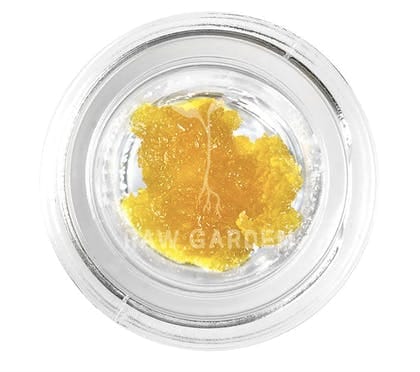 Raw Garden — Wave Rider