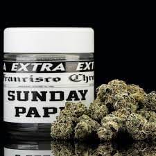 Turtle Pie Co.: Sunday Paper