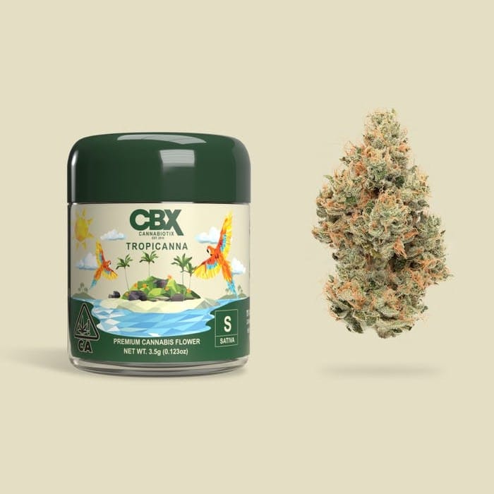 Tropicanna | CBX [3.5g] - Cannabiotix -  - $50 - Flower