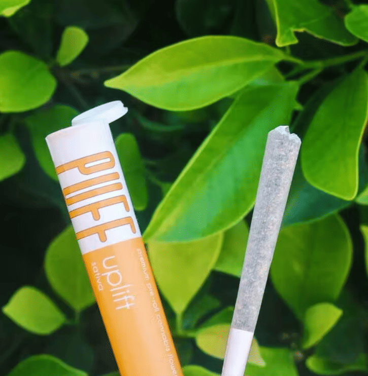 PUFF: Lemonwreck 1g Pre-Roll