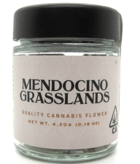Mendocino Grasslands: Mule Fuel