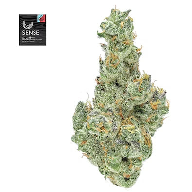GMO - Sense - Eighth - $50 - Flowers