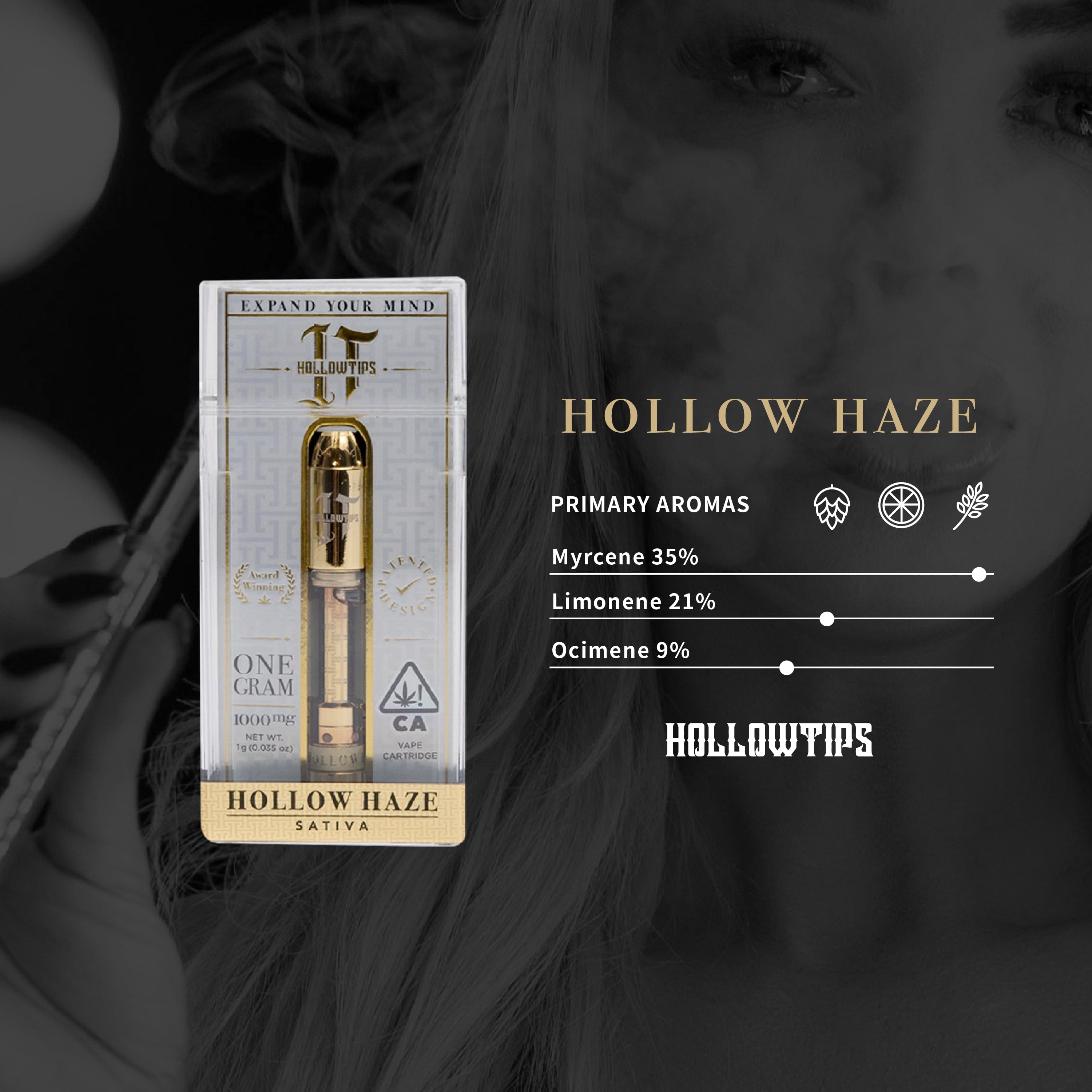 Hollow Haze 1g Cart - Hollowtips -  - $29 - Vape Cart