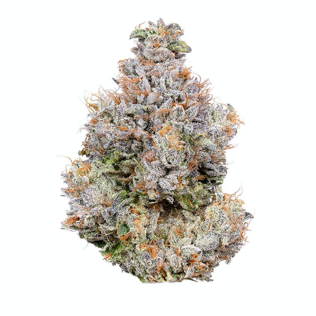 Area 41 3.5g