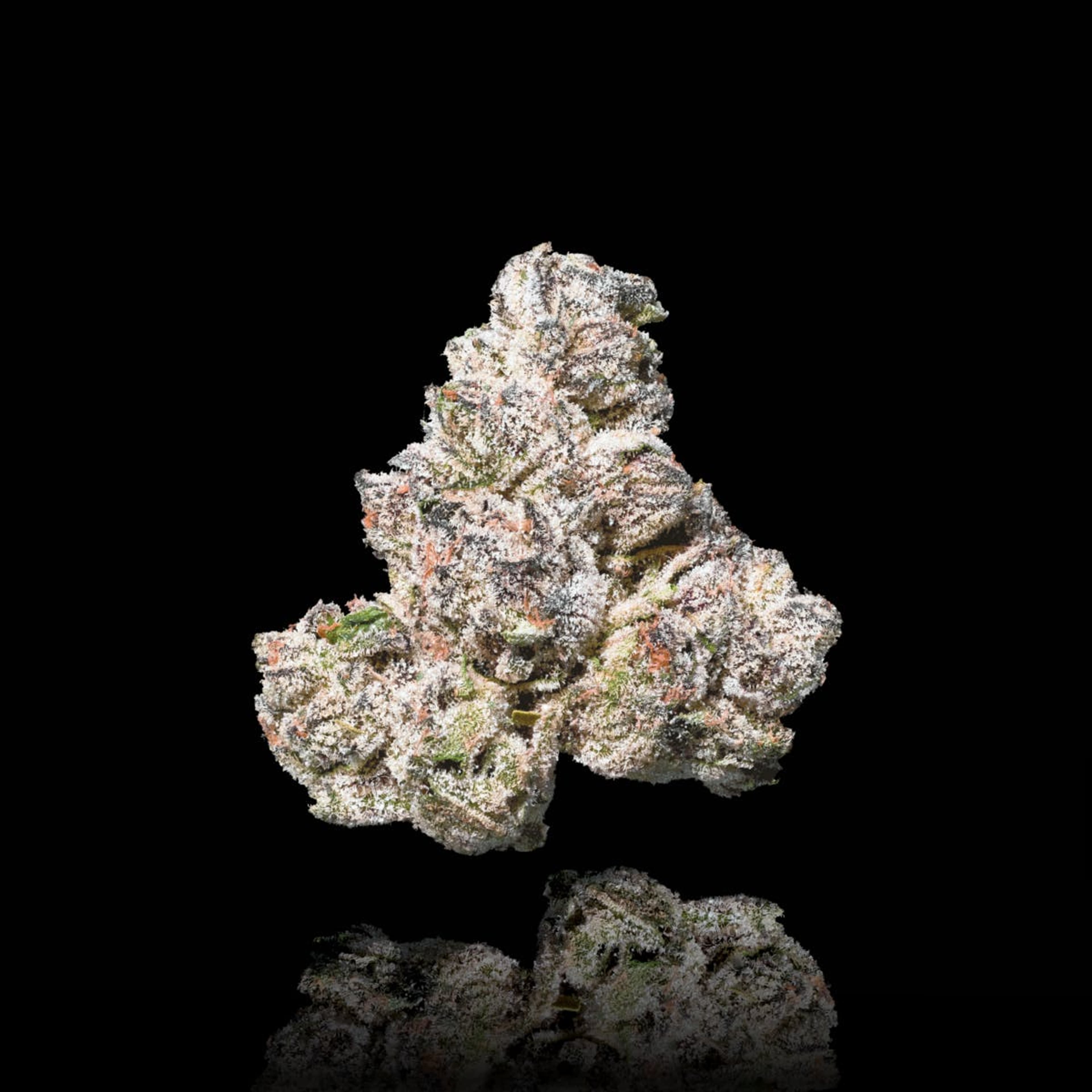 Black Diamond X - Indoor Pre-Rolls - Maven Genetics - 2.5g (5-Pack) - $29.99 - Non-Infused Pre-Rolls