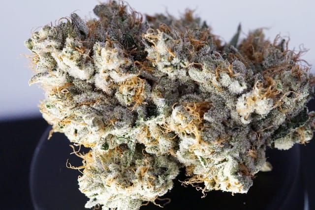 Kush Company — Kushco OG