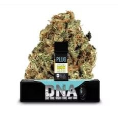 PlugPlay — Super Lemon Haze Dna