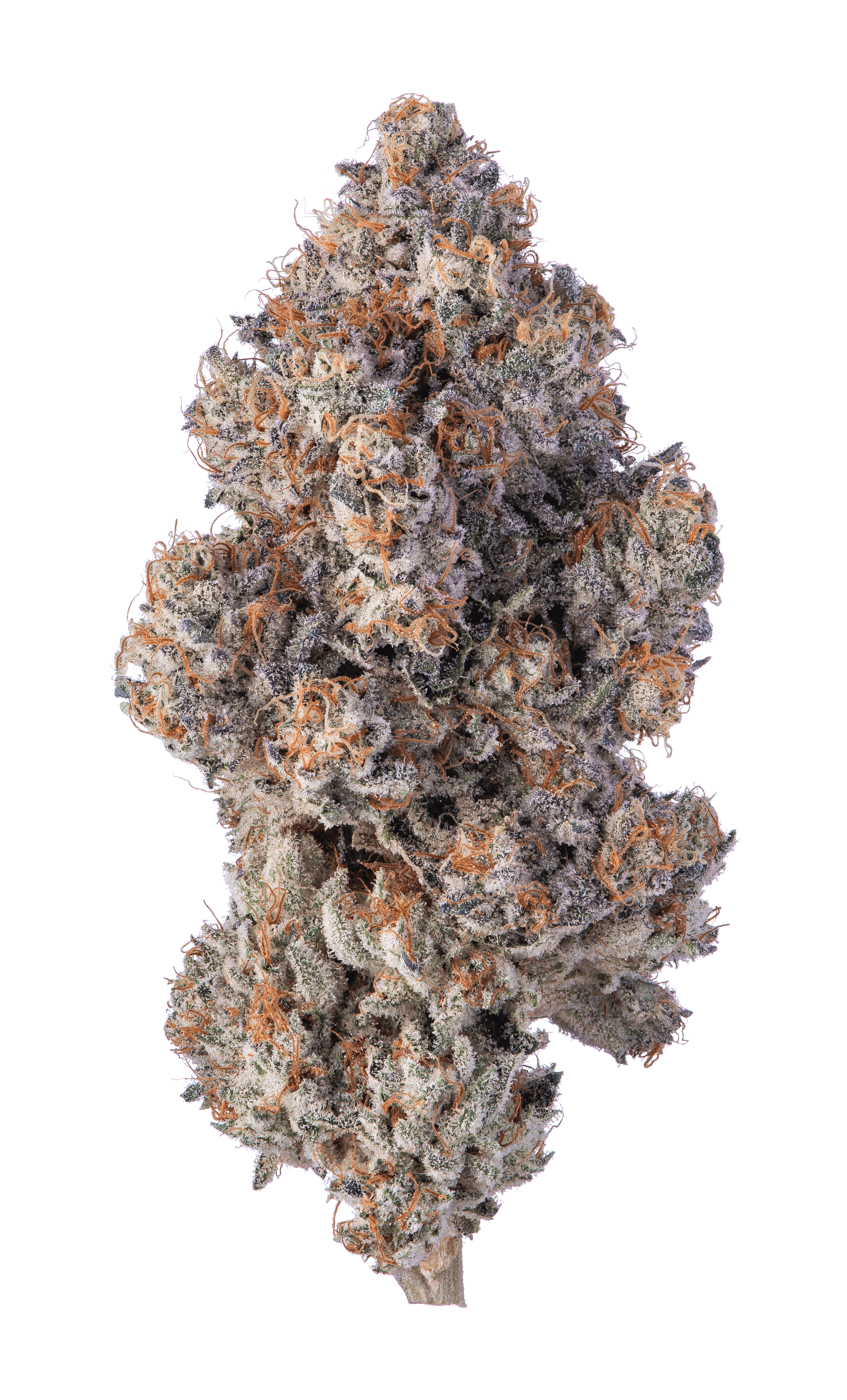 Khalifa Mints 3.5g - Khalifa Kush -  - $62.50 - Flowers