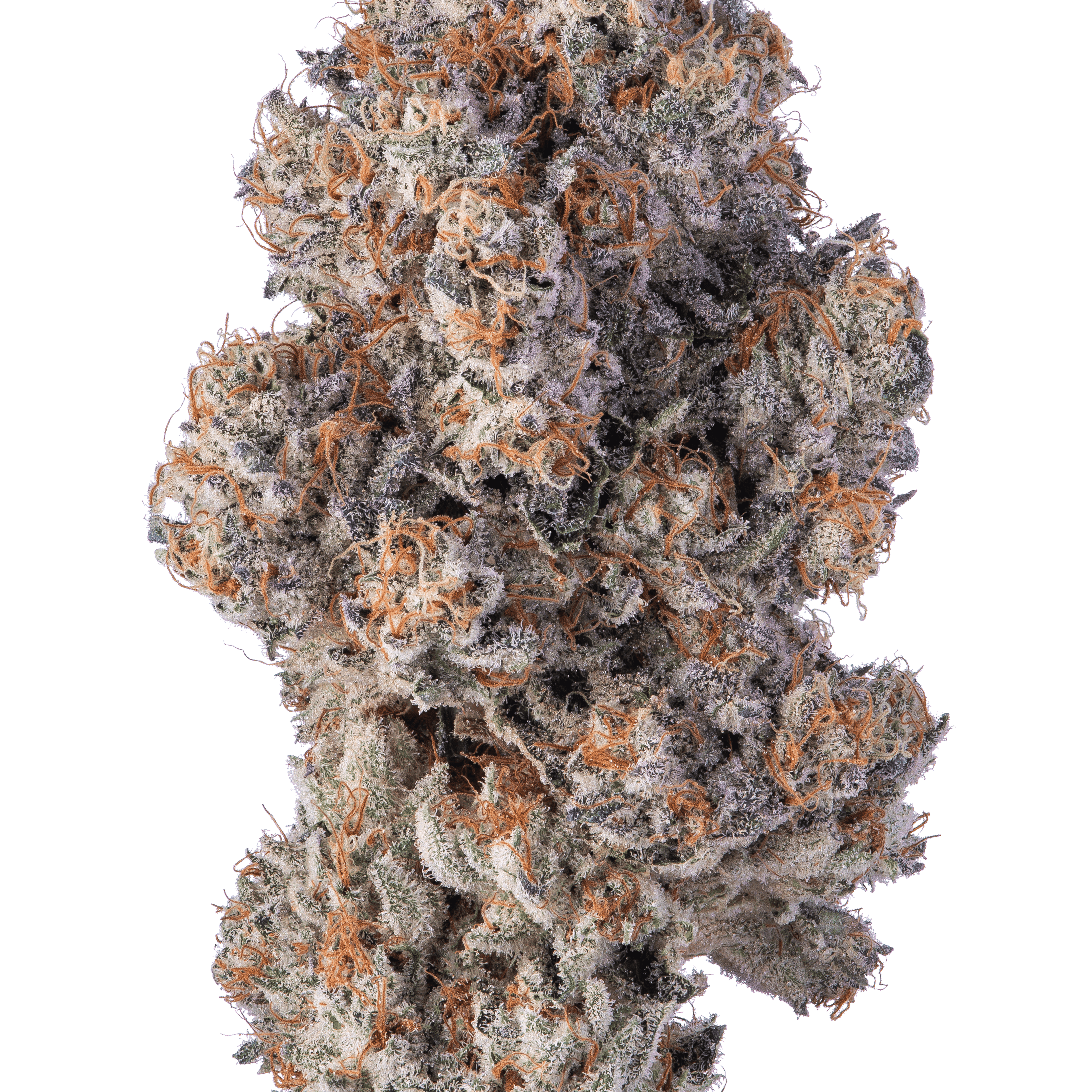 Khalifa Mints 3.5g - Khalifa Kush - - $62.50 - Flowers
