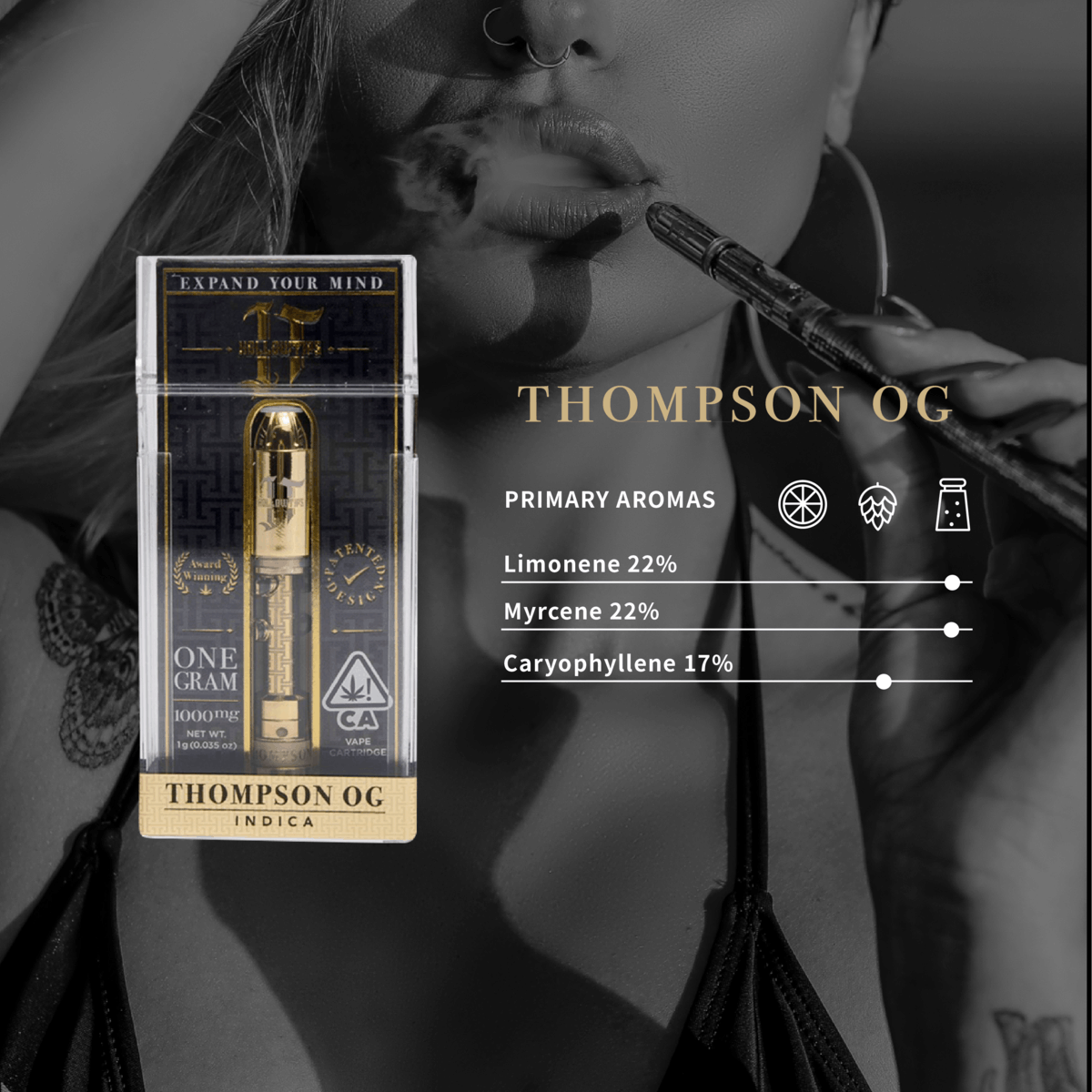 Thompson OG 1g Cart - Hollowtips -  - $29 - Vape Cart