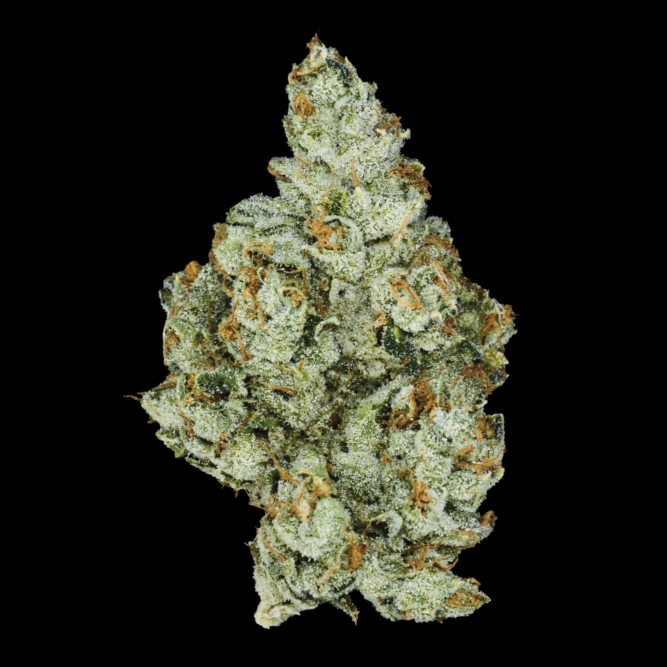 Claybourne: Gold Cuts - Lemon Drop Top - Claybourne Co. - Eighth - $59 - Indoor Flower