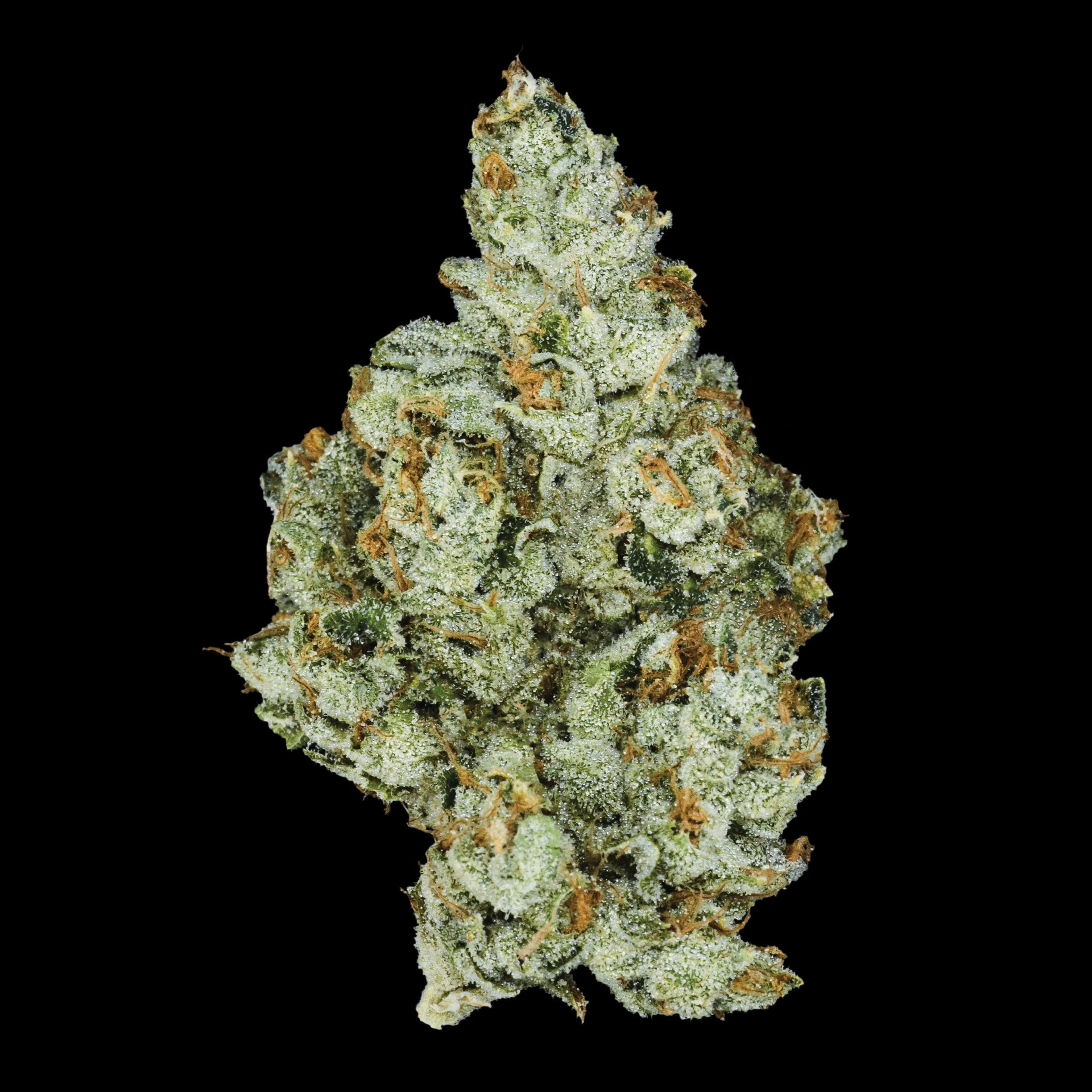 Claybourne: Gold Cuts - Lemon Drop Top - Claybourne Co. - Eighth - $59 - Indoor Flower