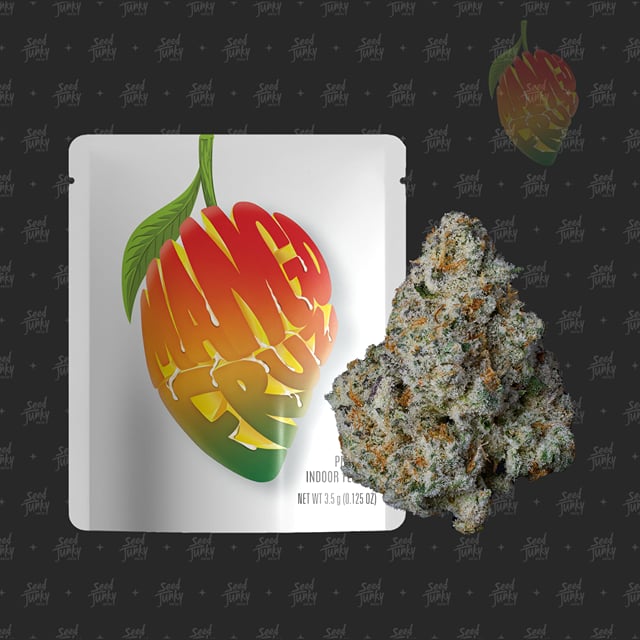 Mango Fruz - 3.5G