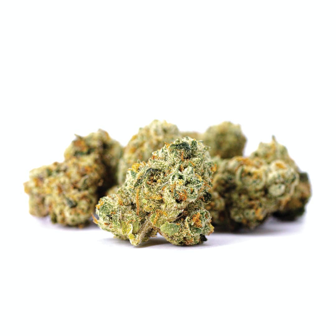 Claybourne Co.: Mule Fuel Small Bud