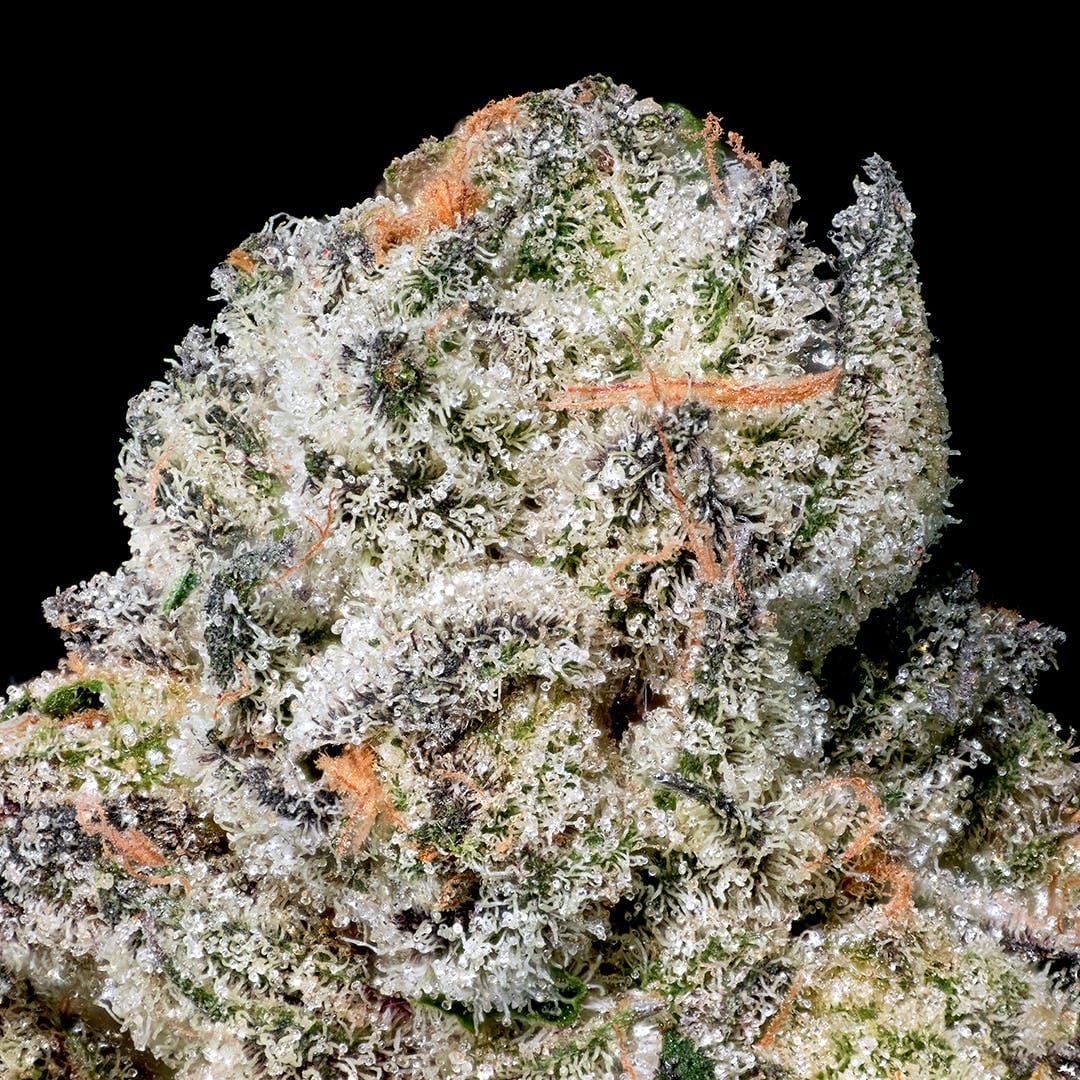 Black Diamond X Pre-Roll 5-Pack [2.5g] - Maven Genetics -  - $21.61 - Pre-Rolls