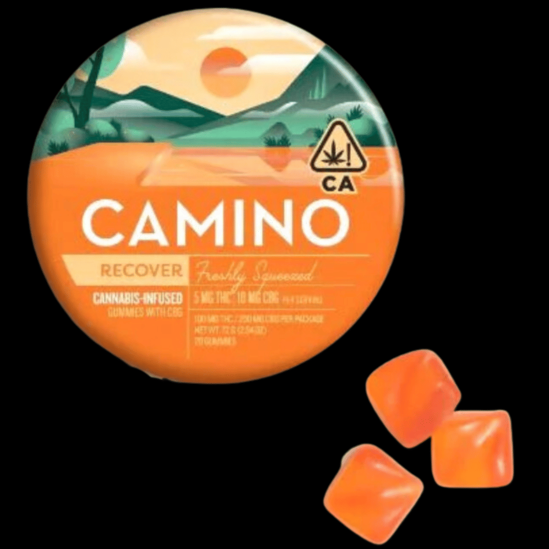 CAMINO: Can - Freshly Squeezed /