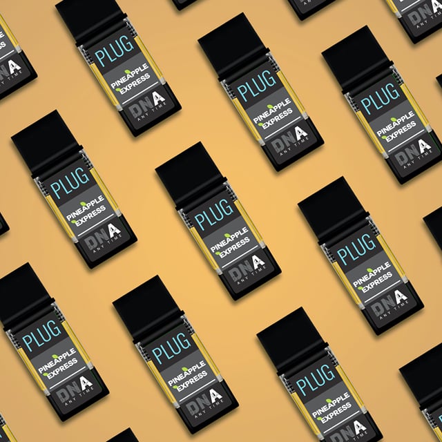 PlugPlay VAPE - 1g PLUG™ DNA: Pineapple Express