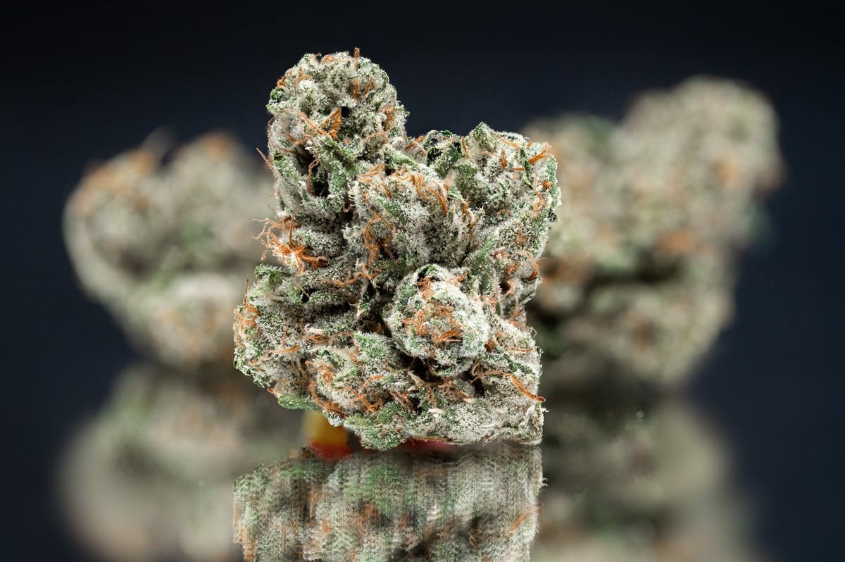 NAMELESS — Mega Wellness OG