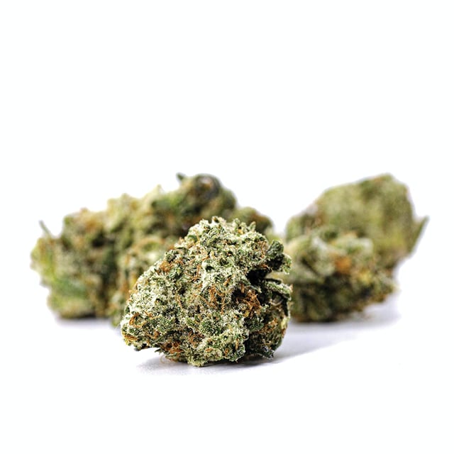 Mango Haze (14G) - Premium Small Bud
