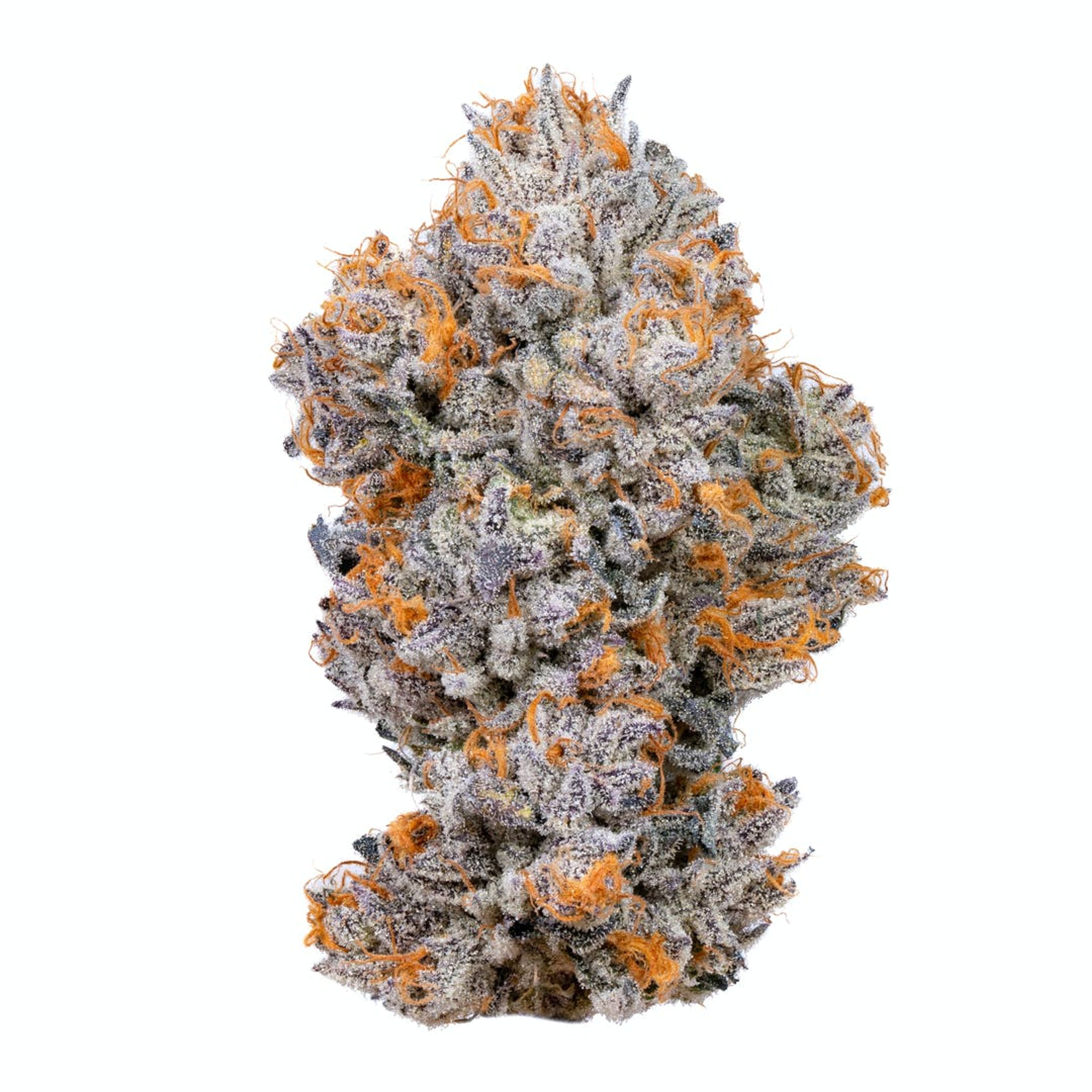 Biscotti - Flower - Connected Cannabis Co. - Eighth - $49.99 - Flower