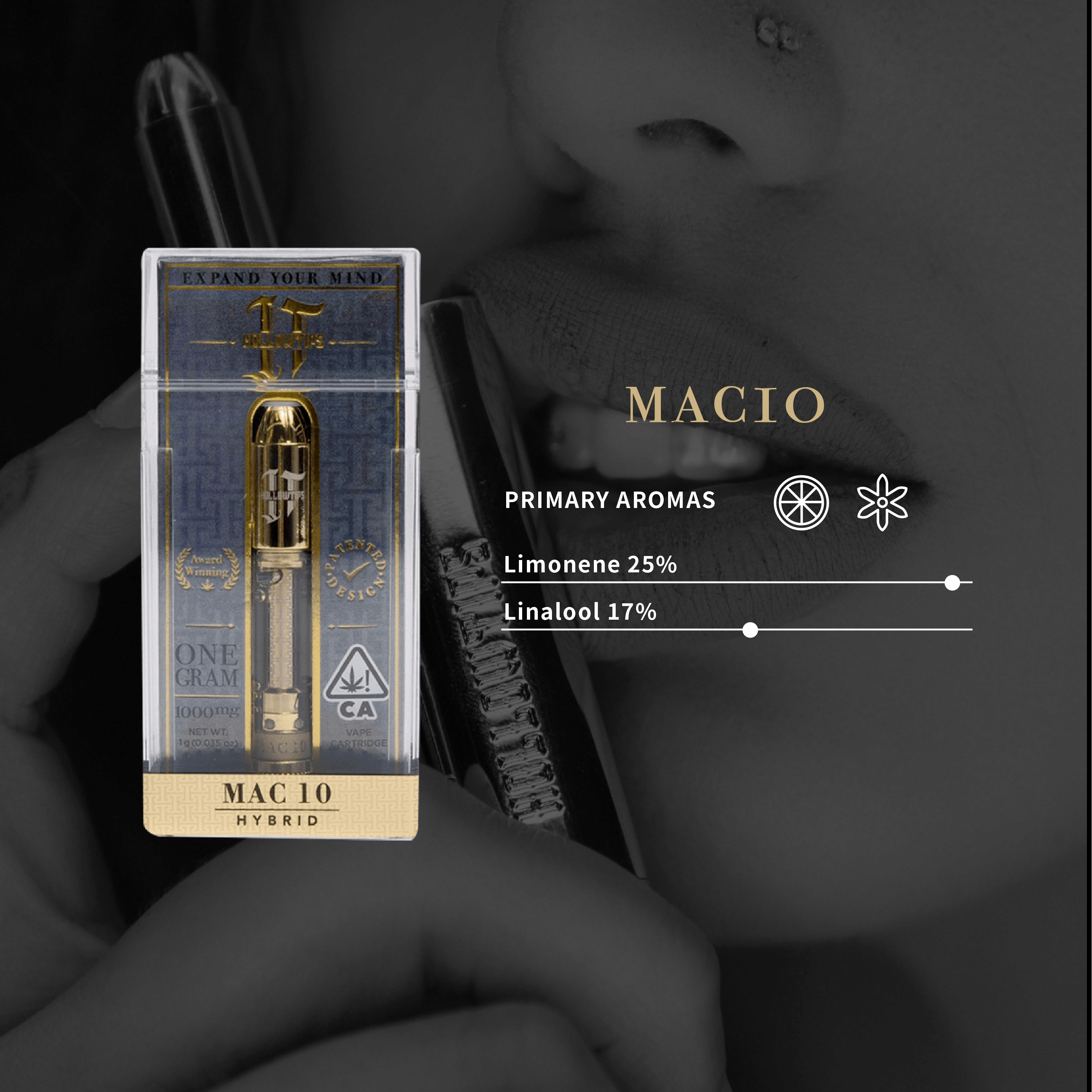 Mac 10 1g Cart - Hollowtips -  - $29 - Vape Cart
