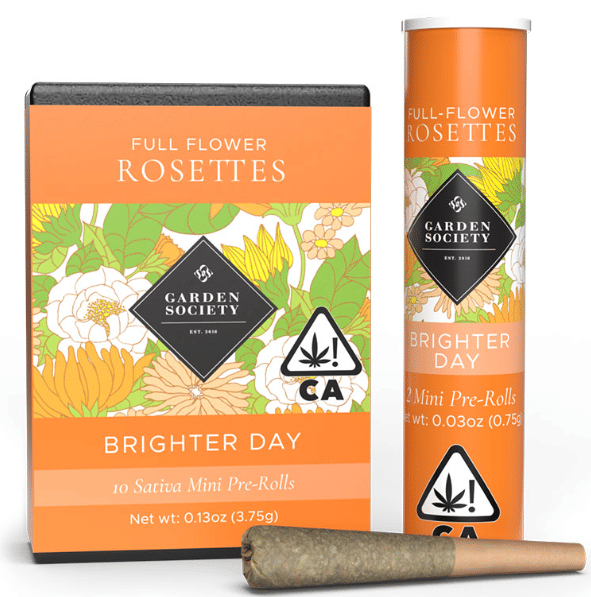 Brighter Day 10pk