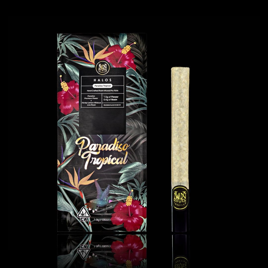 Maven Genetics: Paradiso Tropical