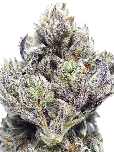 Sour Power OG